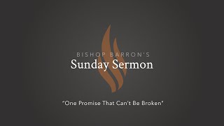 One Promise That Can’t Be Broken — Bishop Barron’s Sunday Sermon
