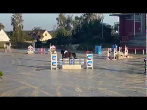 PETRUS DE BRANDEGEM*GFE - St Lo - Mai 2020