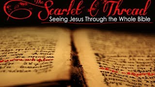 preview picture of video 'The Scarlet Thread: Leviticus Week 2 (Holy Is The Lord)'