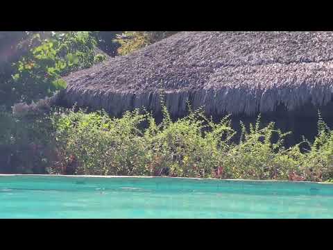 Hotel Ocas do indio #beberibe #ceará #praia #morrobranco