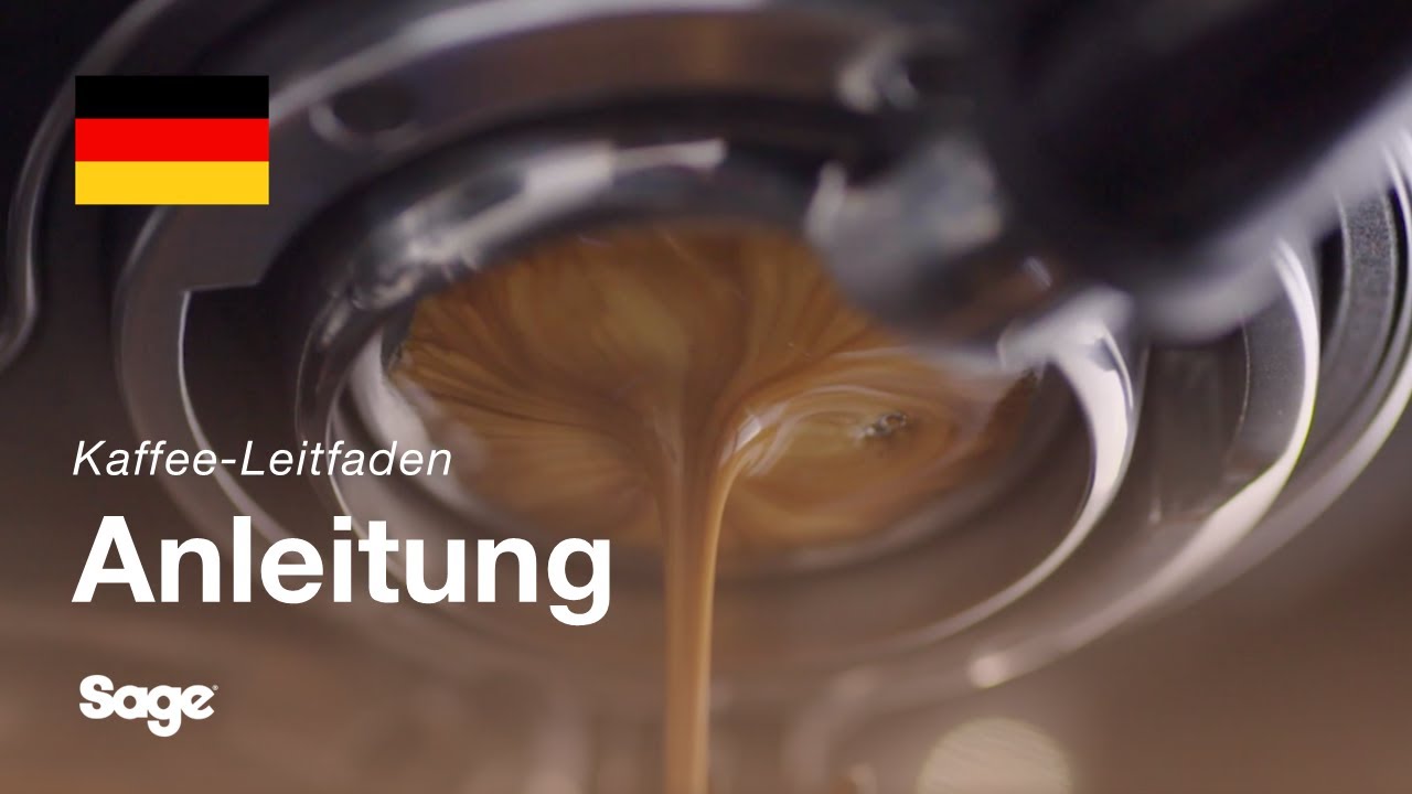 Ausgewogene Extraktion