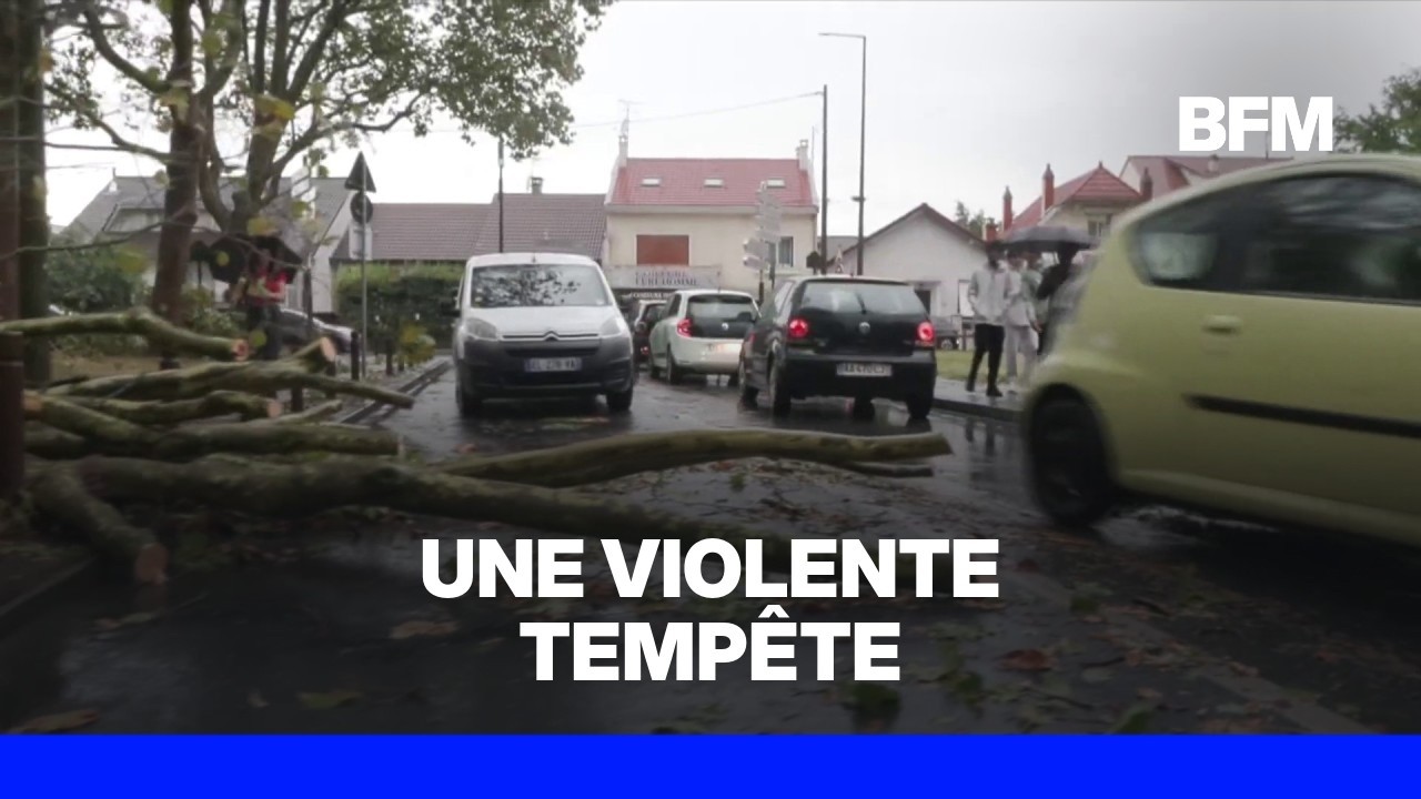 Pluies, rafales, arbres tombés: les images impressionnantes des orages en région parisienne