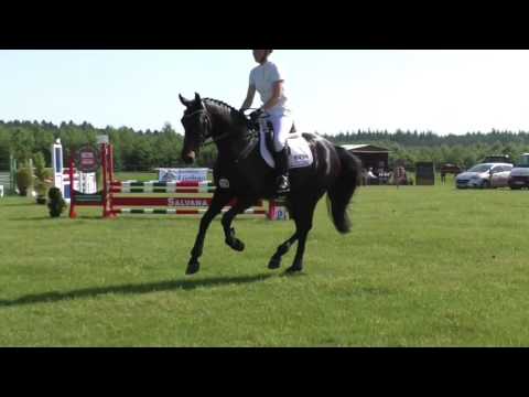 128 - Chabadu v. Cormint - Contender / Eindrücke vom Turnier