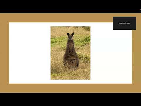 Pecha Kucha: Trip to Australia