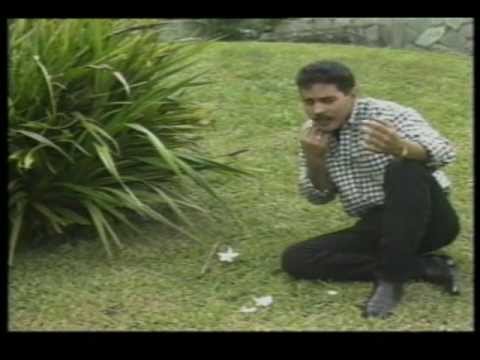 DESDE QUE TE FUISTE - El Andariego