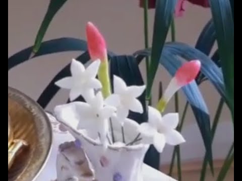 2024!!! Jasmine flowers my channel is selvakumar banu can you please  subscribe me as well.