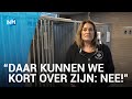 'Leenhonden' gevraagd bij asiel om avondklok te omzeilen