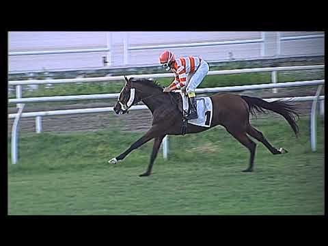 Galoppo 22/07/2020 - 4ª corsa