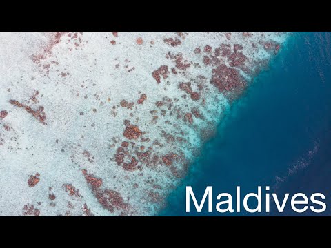 Maldives - Paradise | Travel Video | GoPro Hero 8 | Mavic Air | 4K