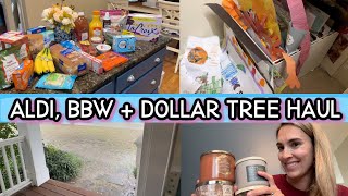 DITL Of A SAHM || ALDI Haul, Bath and Bodyworks and Dollar Tree Haul With Kids Craft Organization