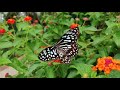 Dwadasiyil Mani WhatsApp Status