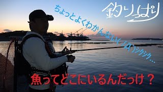 【館山釣り情報】釣りっぱり！　べっくのお魚情報館！(*'▽')　4/15 Ver　自衛隊堤防釣れん・・・