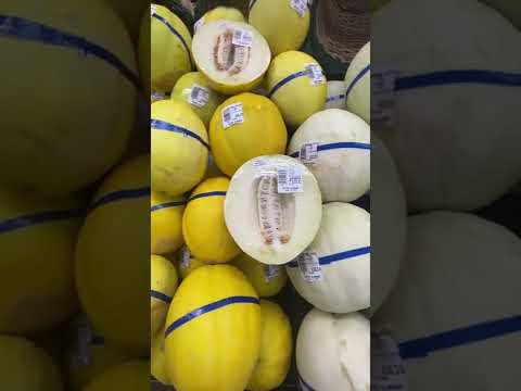 HONEYDEW MELON #shorts