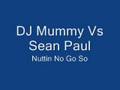 Dj Mummy Vs Sean Paul - Nuttin No Go So (Remix ...