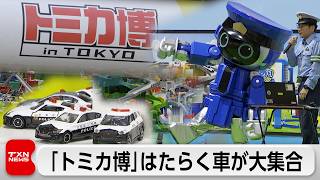 「トミカ博」はたらく車が大集合 警視庁がブース初出展