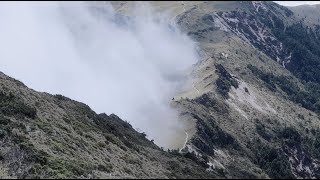 Cicada – 走入有霧的森林 Hiking in the Mist (Official MV)