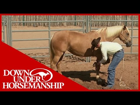 Clinton Anderson: Training a Rescue Horse, Part 11 - Downunder Horsemanship