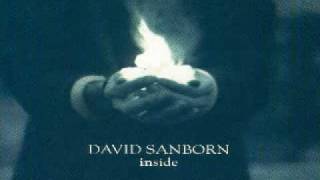 David Sanborn - Brother Ray