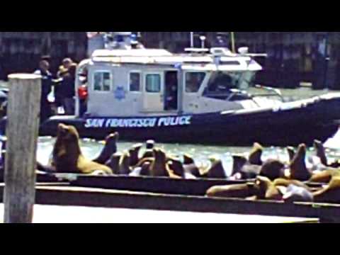 SFPD Behaving Badly.AVI