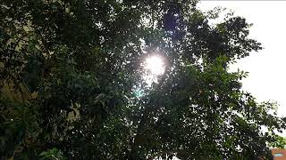 #TRAD Alex M.O.R.P.H ft. Cheryl Barnes - Hidden Sun Of Serenity