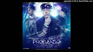 Cosculluela Ft. Daddy Yankee &amp; Kendo Kaponi - Probando (Remix)