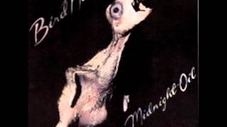 Midnight Oil - 1 - No Time For Games - Bird Noises (1980)