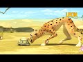 4x400m 35 Compilation Crazy Animals