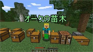 【マインクラフト】奇跡の扉〔ぬーの１スタックコレクション！！！♯４〕