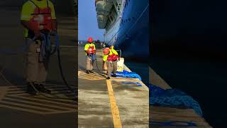 it's magic #cruisedestination #carnivalcruiseline #travel #viral #turksandcaicosisland