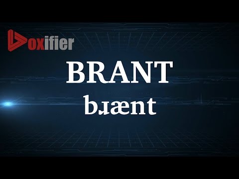 English Pronunciation of Brant - Voxifier.com