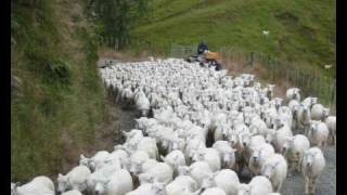 Brian Doerksen: When you shepherd me