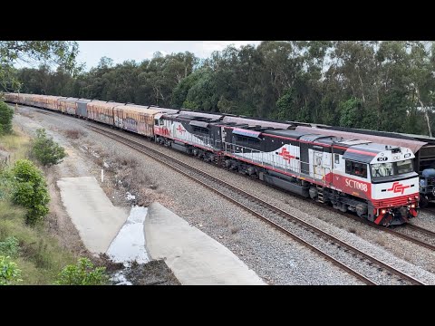 SCT Logistics SCT008 & SCT006 with 1MB9 at East Maitland - 3/4/23