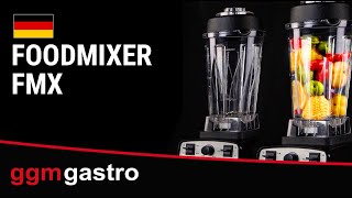 Mixeur professionnel / Blender – 2 L – 1,5 kW
