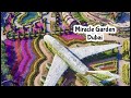 Miracle Garden Dubai 2021 World S Largest Flower Garden