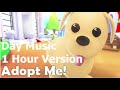 Day Theme - Adopt Me by Robert Hughes