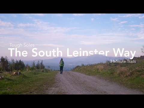 The South Leinster Way 👣 Three Minute Trails