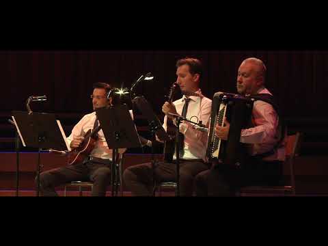 Gupci u Lisinskom - Tak mala ti je ruka