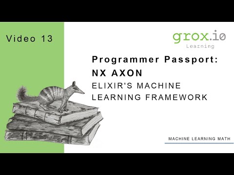 Programmer Passport: Nx Video 13 - Axon Models