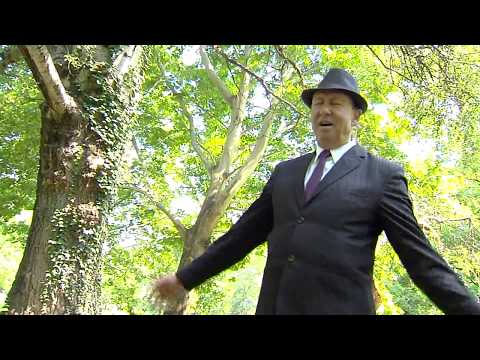 IBUSH IBRAIMOSKI - LUDI MLADI GODINI