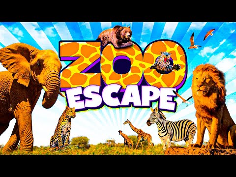 Zoo Escape🦓🐘