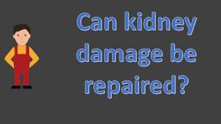 Can kidney damage be repaired ?