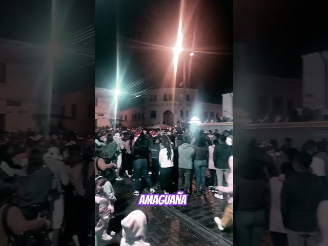 Vídeo relacionado con Dj Disfraz Carnaval Concierto Festival Música Mapache Camiseta