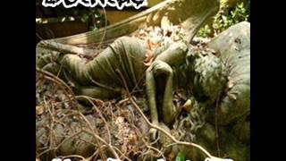 Detritus - Live Erosion - Full Live EP