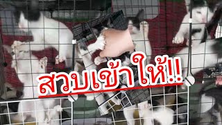 สวบเข้าให้!!แสบจริงๆเจ้าตัวเล็ก