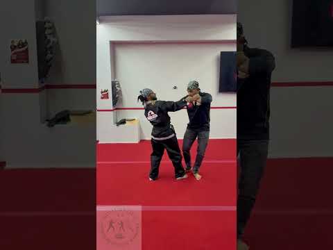 Stopping a Punch Cold: Wing Chun Precision Meets Kuk Sool Power #sifujasonlee #wingchun #kuksoolwon