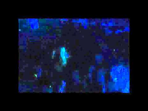 Dj Xinga Dulux @ Byblos Club Luxembourg 29.01.2011