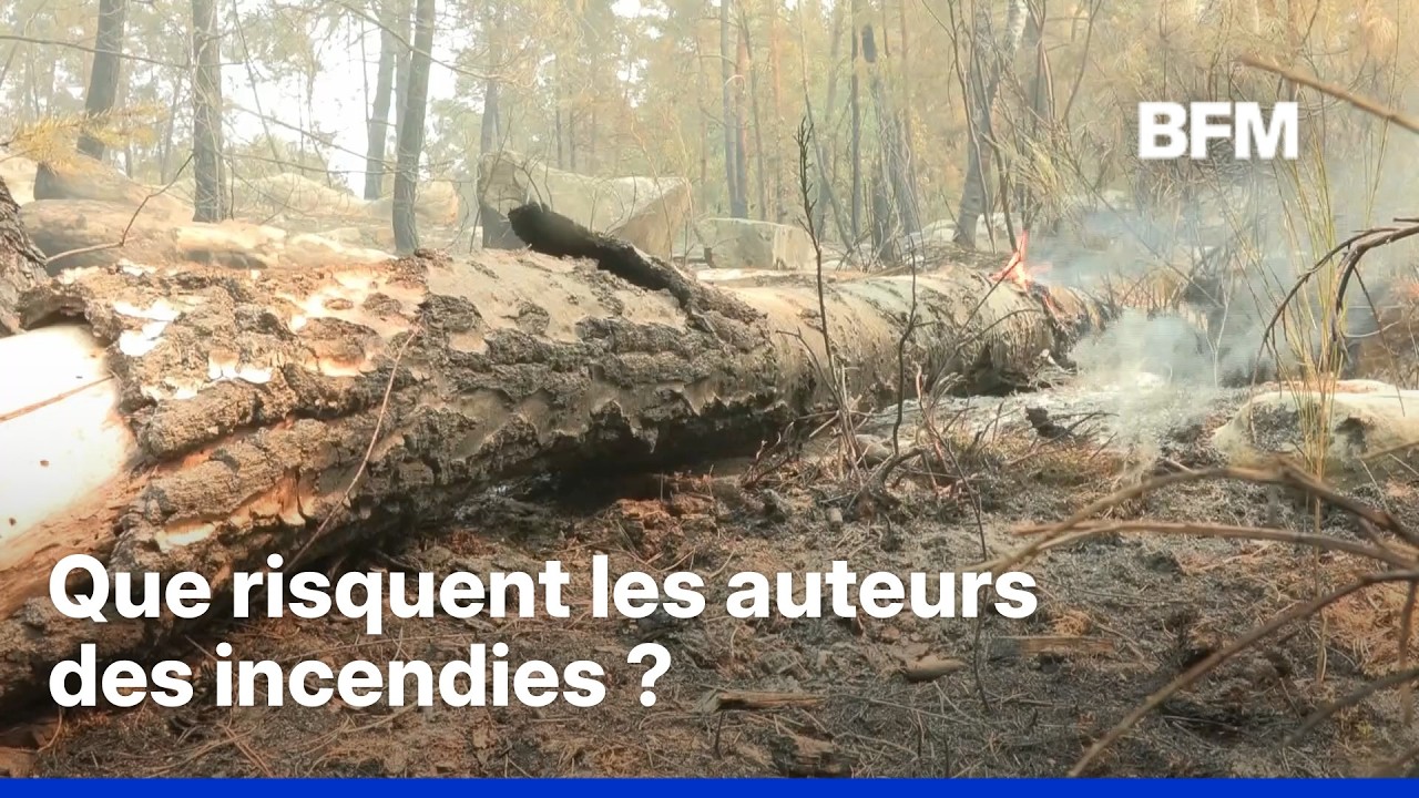 Départs de feux: que risquent les auteurs d'incendies devant la justice?