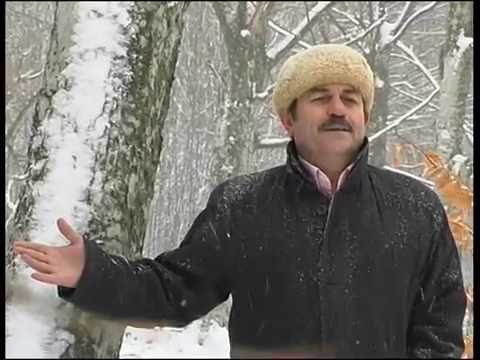 Faruk Yılmaz -Güldaniyem