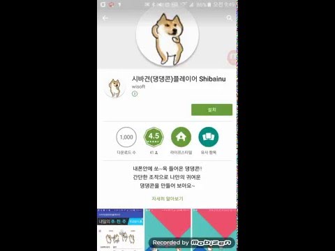 Dancing Dog-Shiba Inu,Doge Video