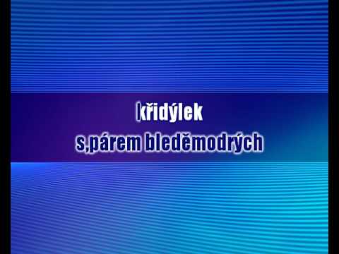 Helena Vondráčková - Chytila jsem na pasece motýlka